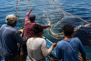 Pescadores artesanais sofrem impactos duradouros do derramamento de petróleo de 2019